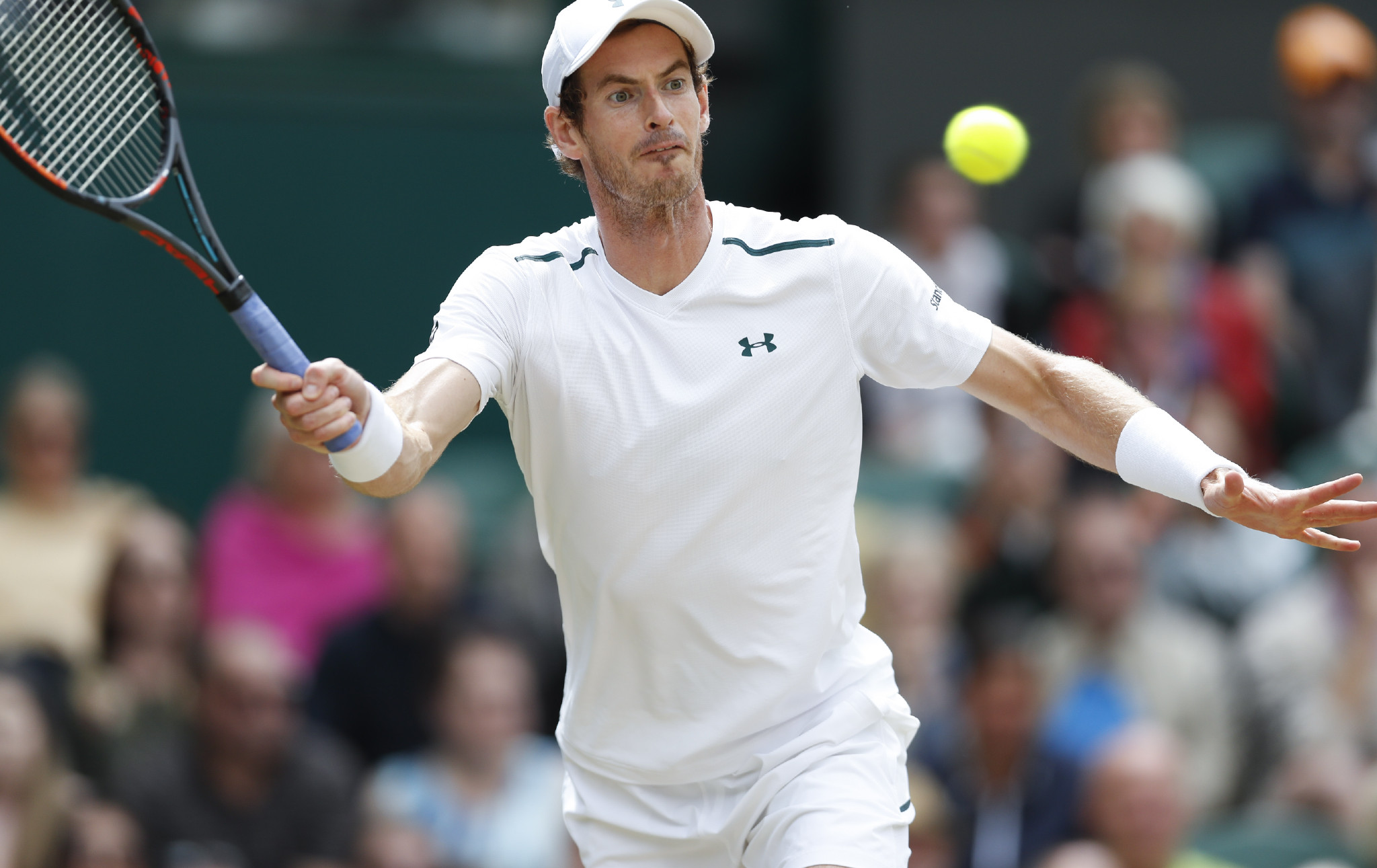 澳网翻盘温网,穆雷高光表现 澳网翻盘温网,穆雷高光表现