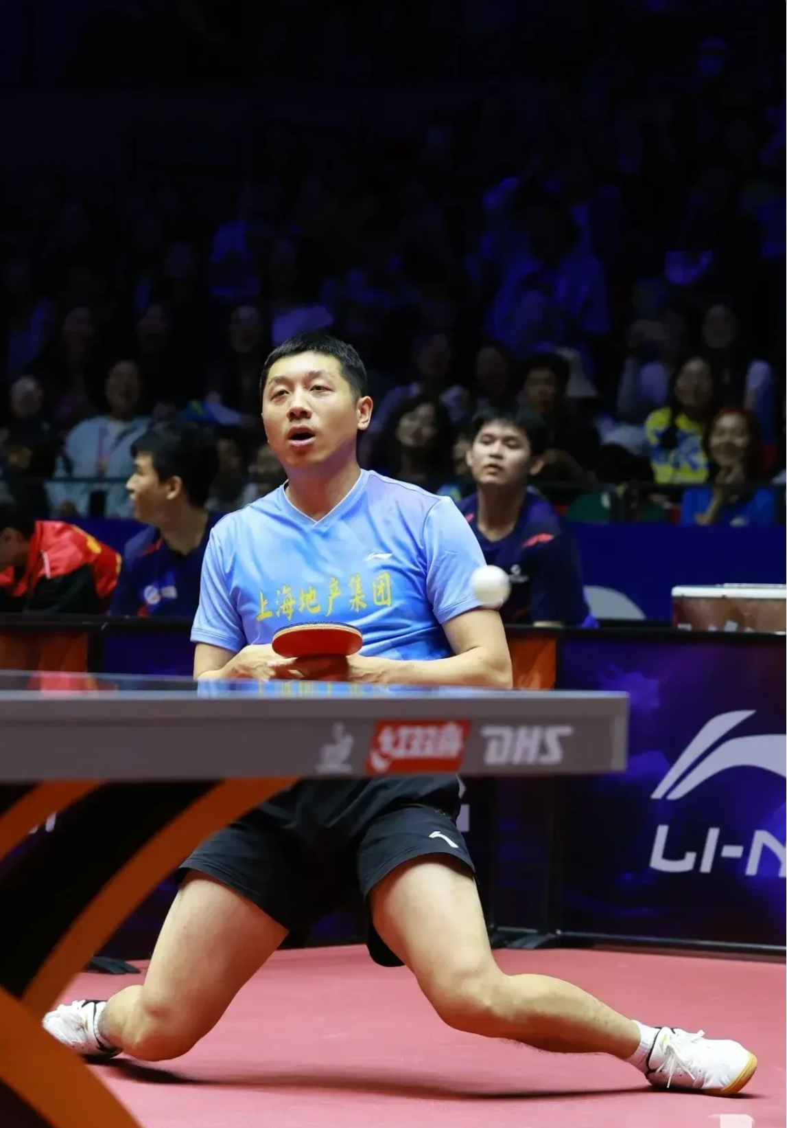 奥地利队碾压日本队,许昕高光表现 奥地利队碾压日本队,许昕高光表现