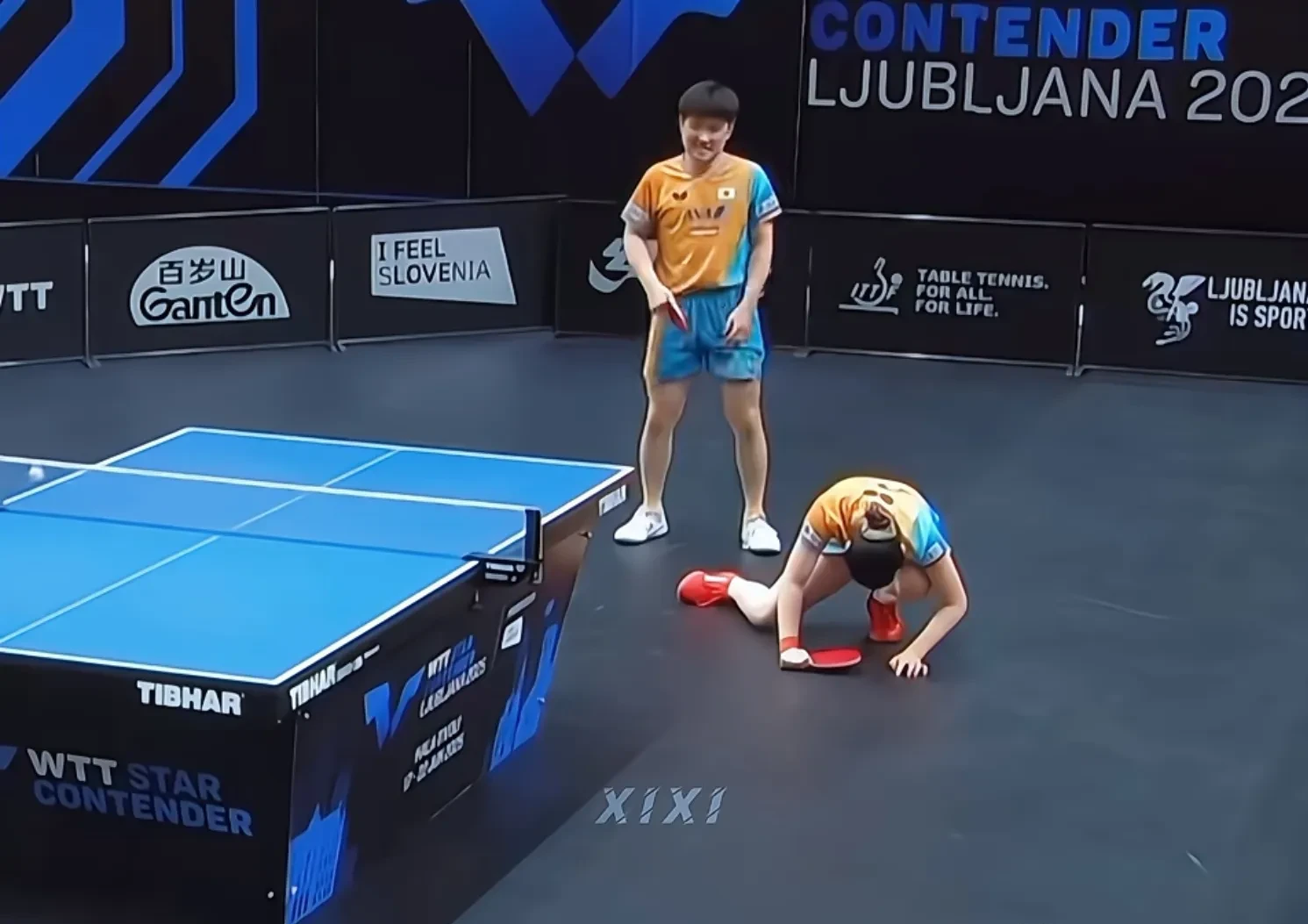 奥地利队逆转波兰队，张本智和状态火热