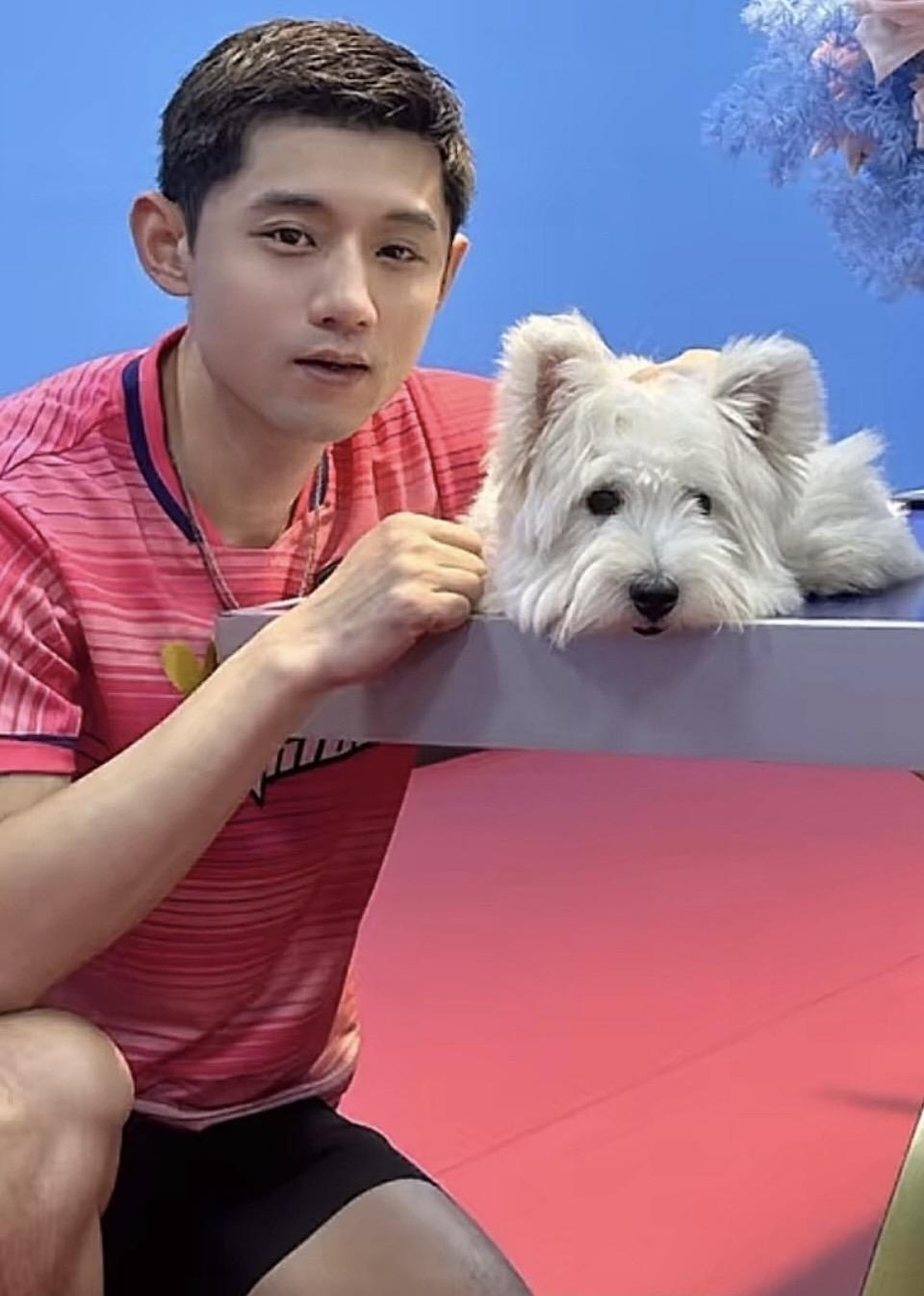 韩国队横扫奥地利队，张继科惊艳四座