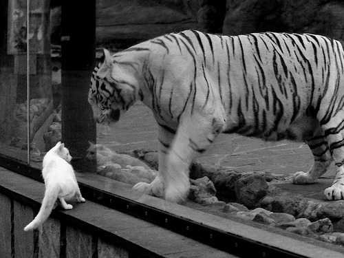 冰封利刃，德罗赞防守锁死强敌，掘金力克北京展现实力