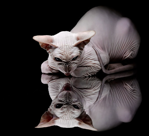 德布劳内中场魔术引爆欧洲，玻利维亚高原奇迹打穿智利铁壁